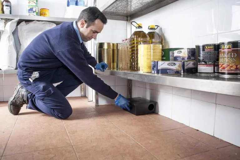 Empresa certificado en plagas Urban Sanidad Ambiental